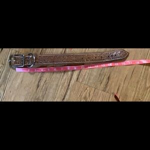 Small dog collar 15 in long